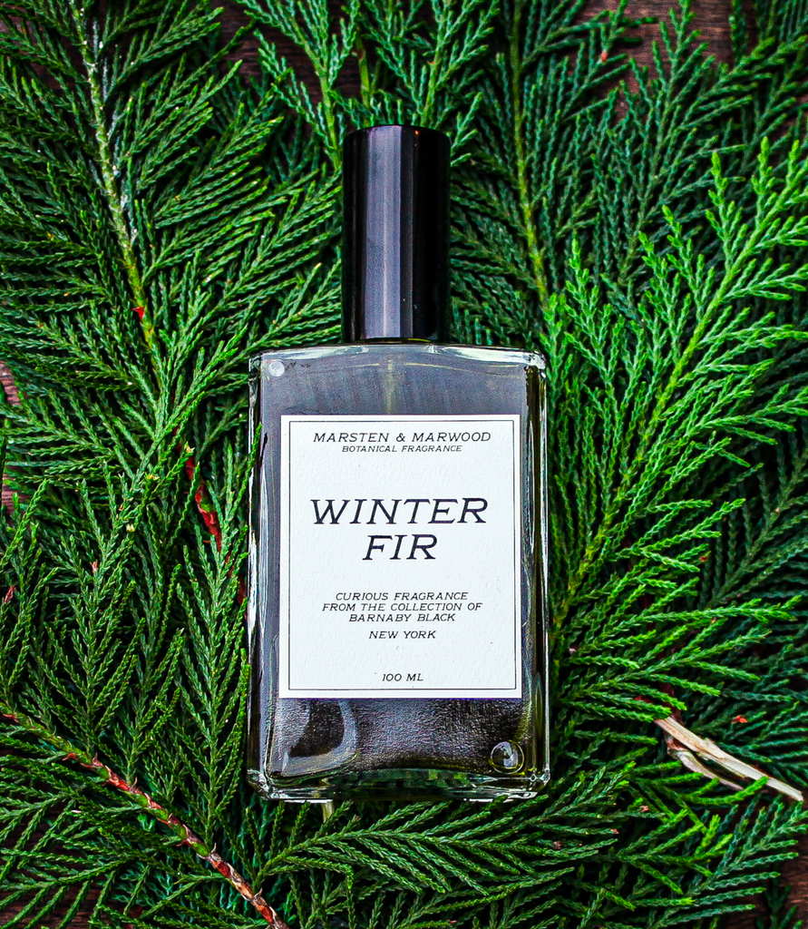 MARSTON & MARWOOD COLLECTION - WINTER FIR