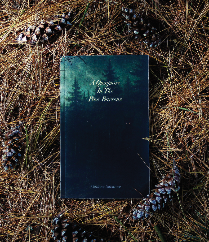 A QUAGMIRE IN THE PINE BARRENS - SOFT COVER EDITION