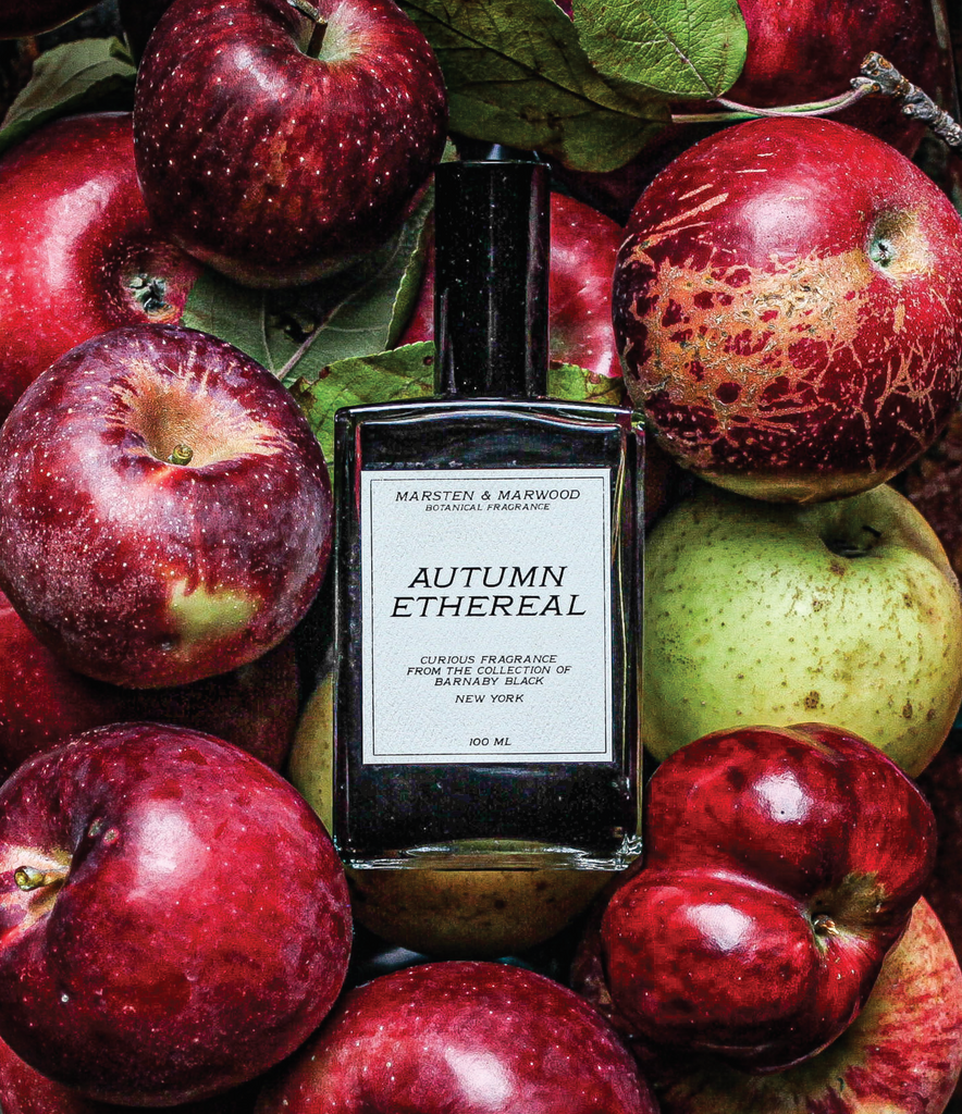 MARSTEN & MARWOOD COLLECTION - AUTUMN ETHEREAL