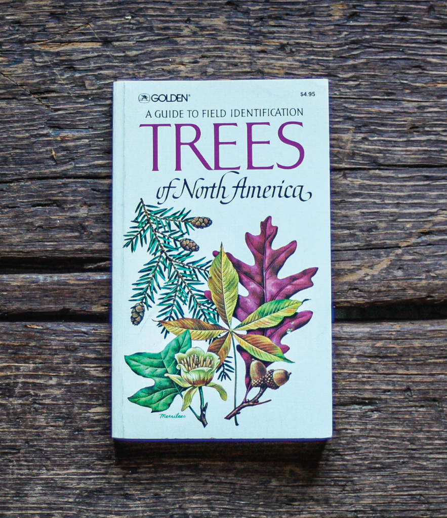 TREES OF NORTH AMERICA