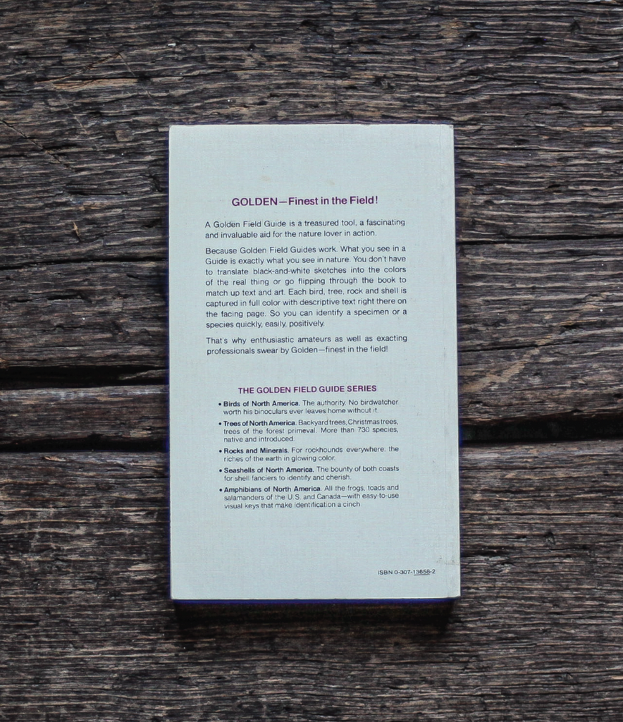 TREES OF NORTH AMERICA