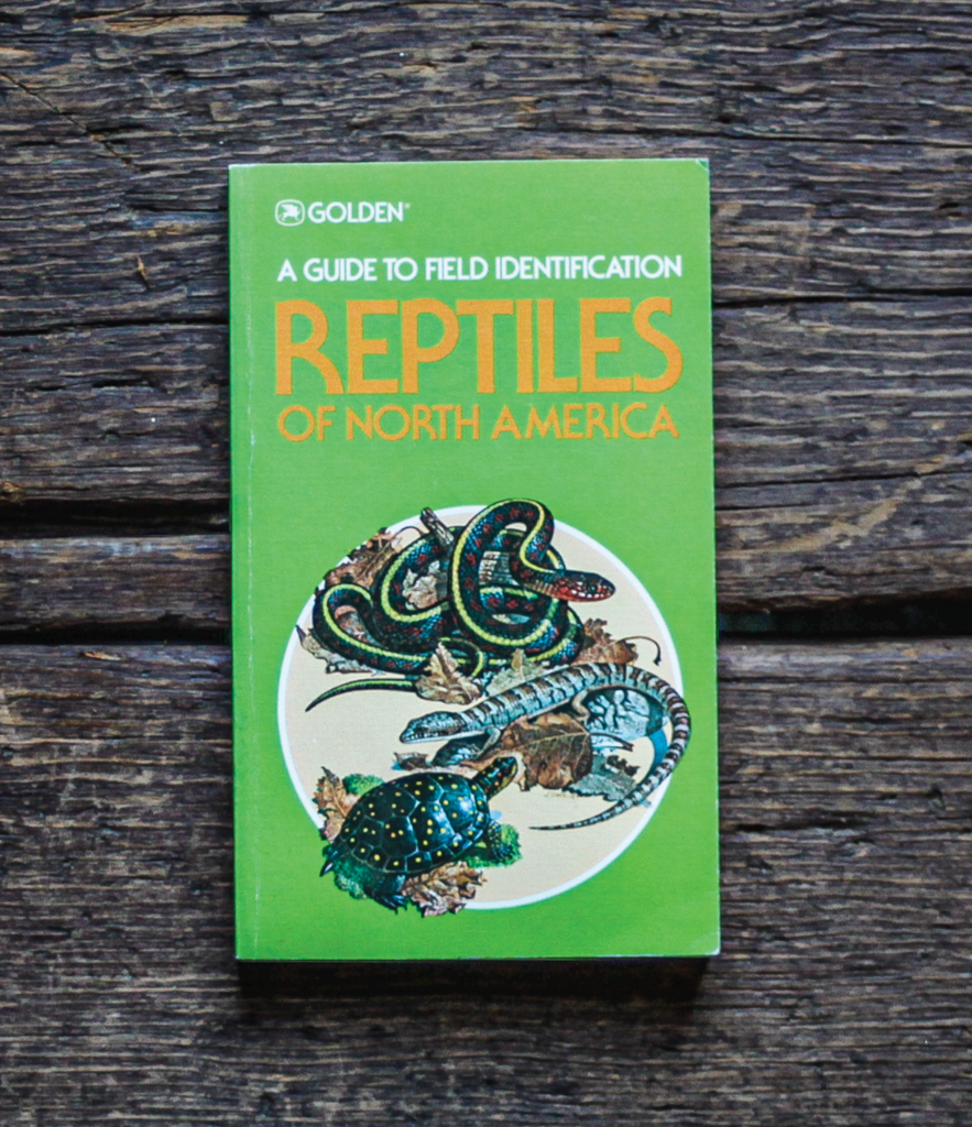 REPTILES OF NORTH AMERICA