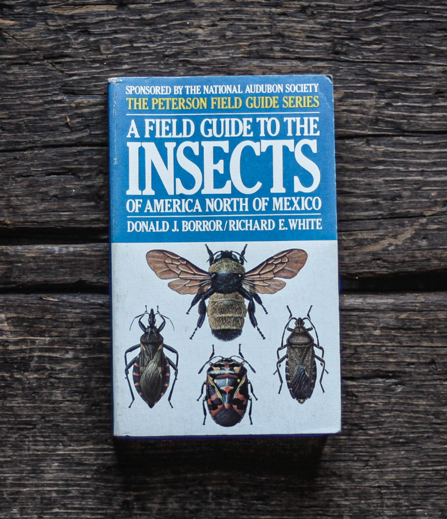 PETERSON FIELD GUIDE TO INSECTS OF NORTH AMERICA