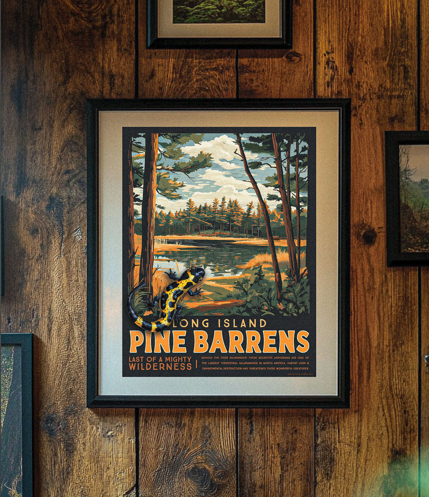 PINE BARRENS SALAMANDER TRAVEL POSTER