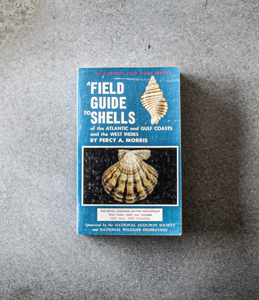 FIELD GUIDE TO SHELLS OF THE ATLANTIC